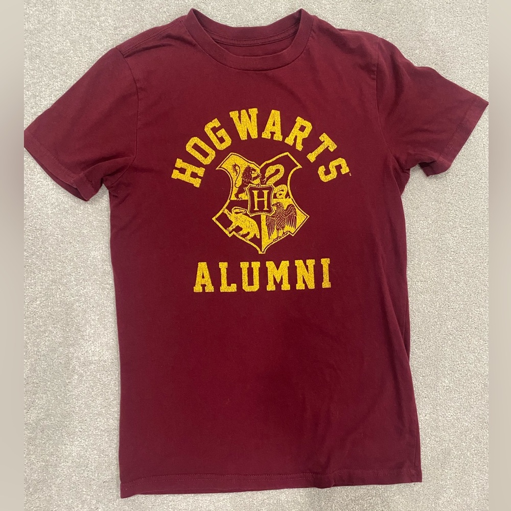 Harry Potter Hogwarts Alumni
